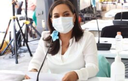 Emergencia Sanitaria de Acapulco Congreso impedido acordar, desviado en discusiones estériles.