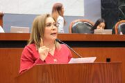 Congreso/Ley para los Derechos de las Jefas de Familia de la dip. Leticia Mosso Hernández.