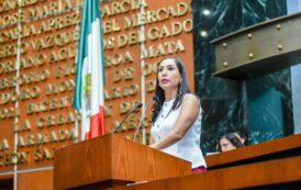 Qué Jueces de control y enjuiciamiento dicten medidas de protección a víctimas de violencia familiar o de género; Dip. Luissana Ramos Pineda- Morena.
