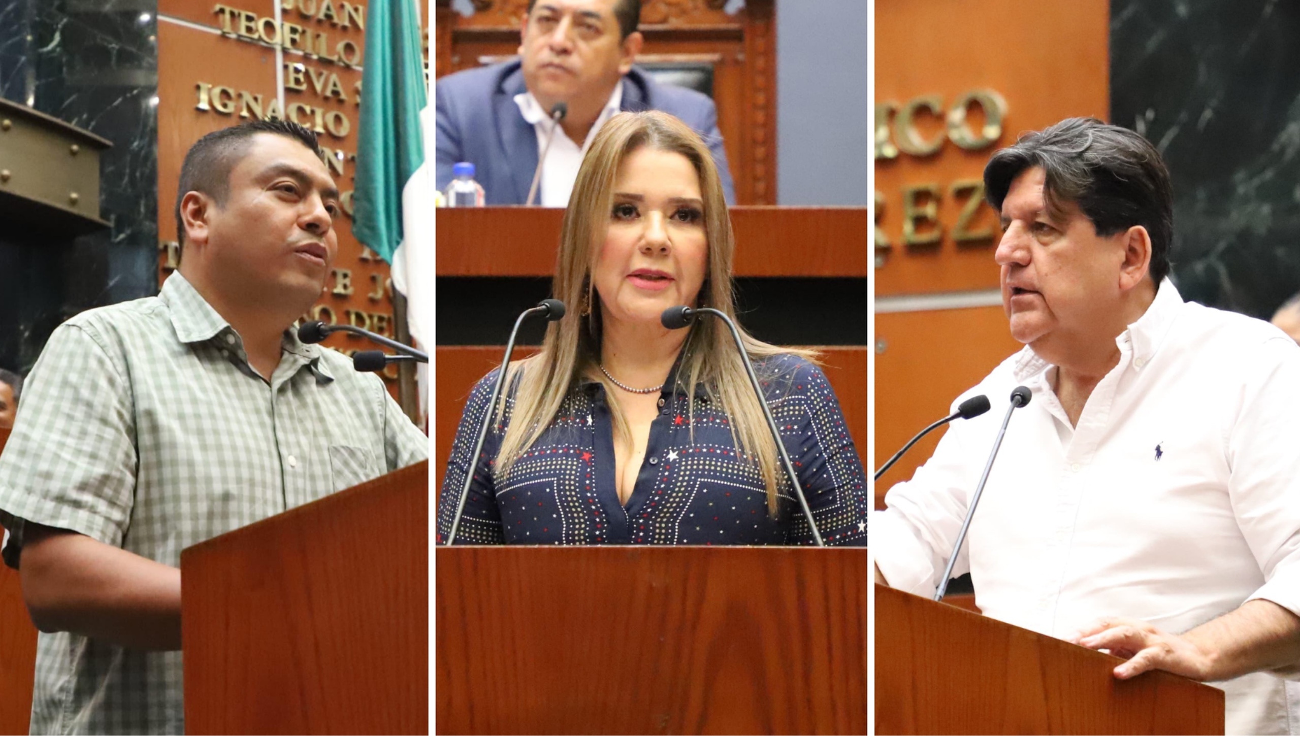 Llamen a Abelina.  Presentan exhortos para ordenamiento urbano, rescate de tradiciones y fomento a la cultura en guerrero.Las calles y banquetas de Acapulco son un desastre.