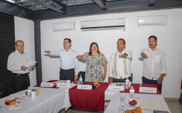 Micaela Cabañas (Hija del legendario, Lucio Cabañas), presidirá el comité promotor del Consejo Consultivo Ciudadano de RTG