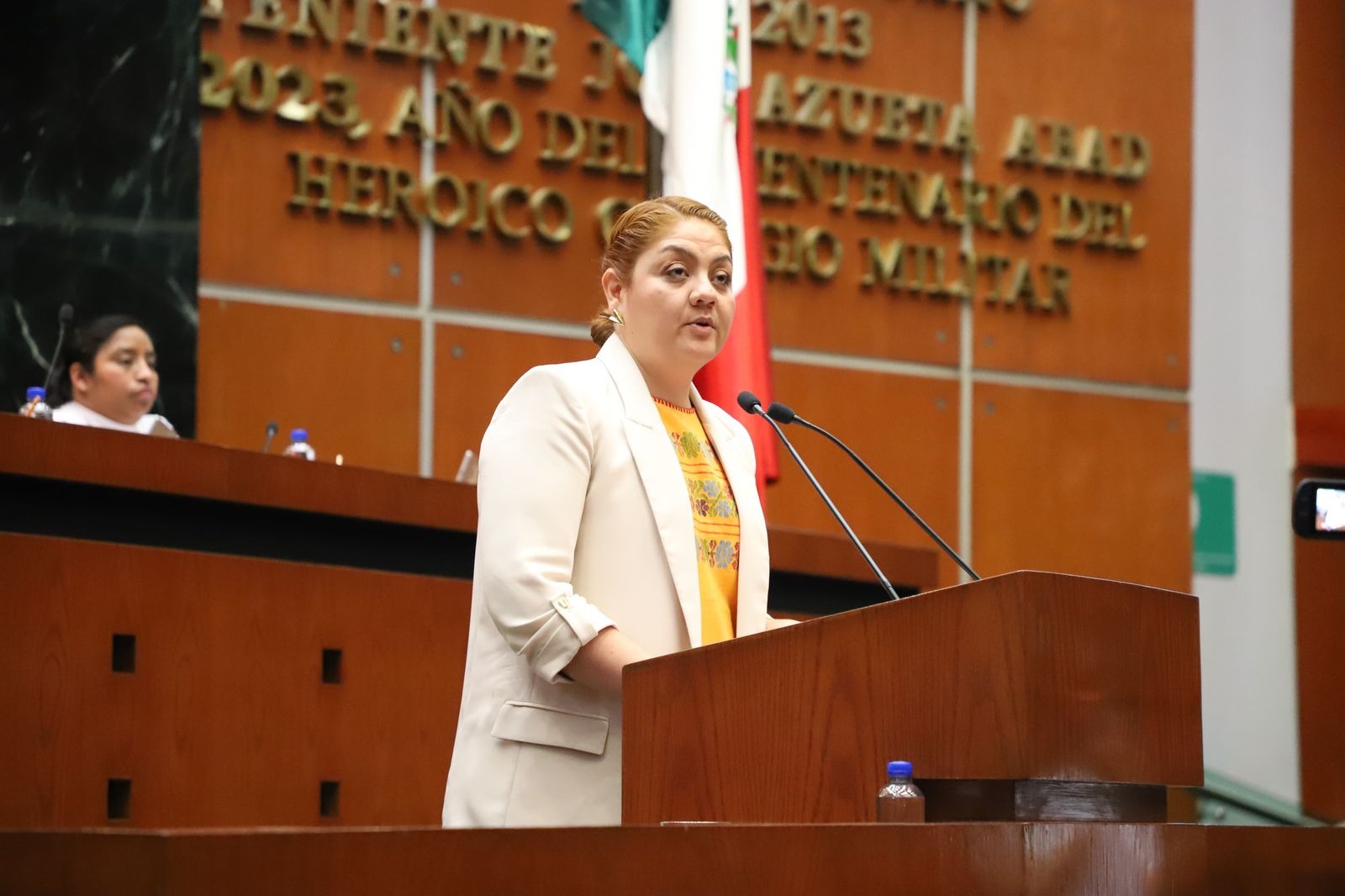 Pide diputada que se reactive la Red Estatal de Bibliotecas públicas en Guerrero.