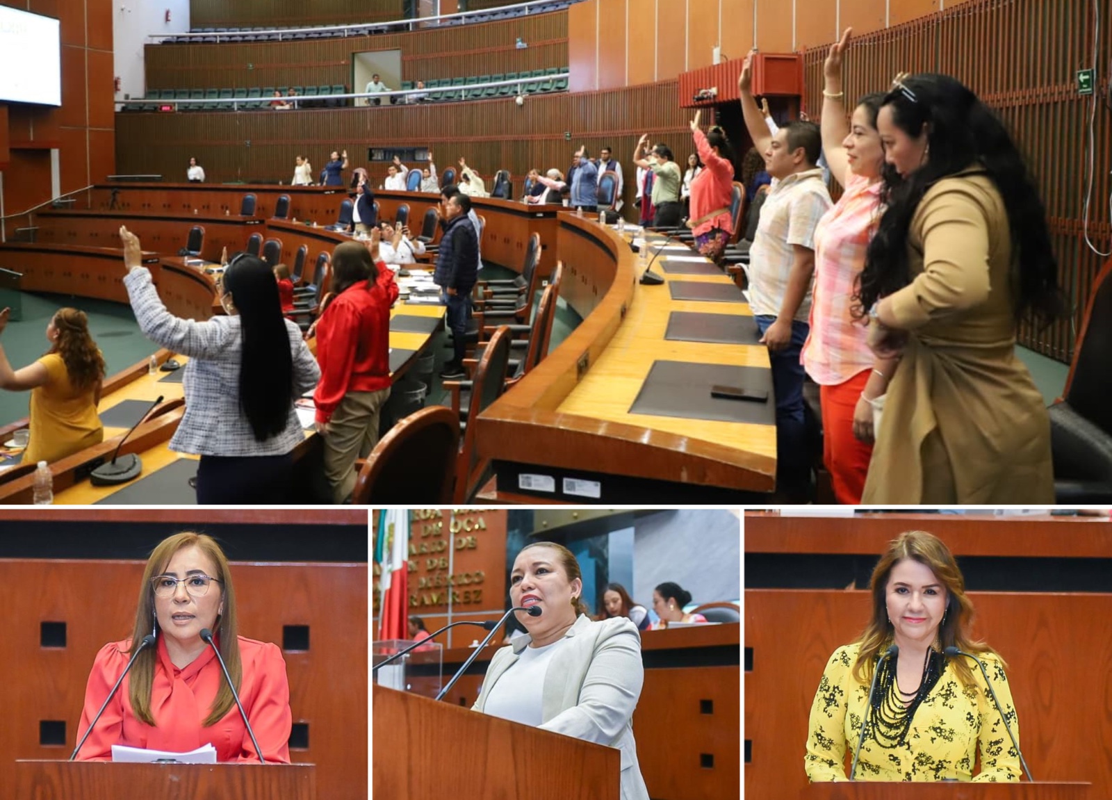 Exhorta Congreso agilizar investigaciones de feminicidios en guerrero y fortalecer Protección de datos de Víctimas.