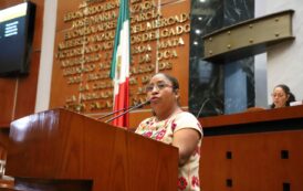 Diputada Catalina Propone fortalecer Derechos Político-Electorales de los Pueblos Indígenas y Afromexicano