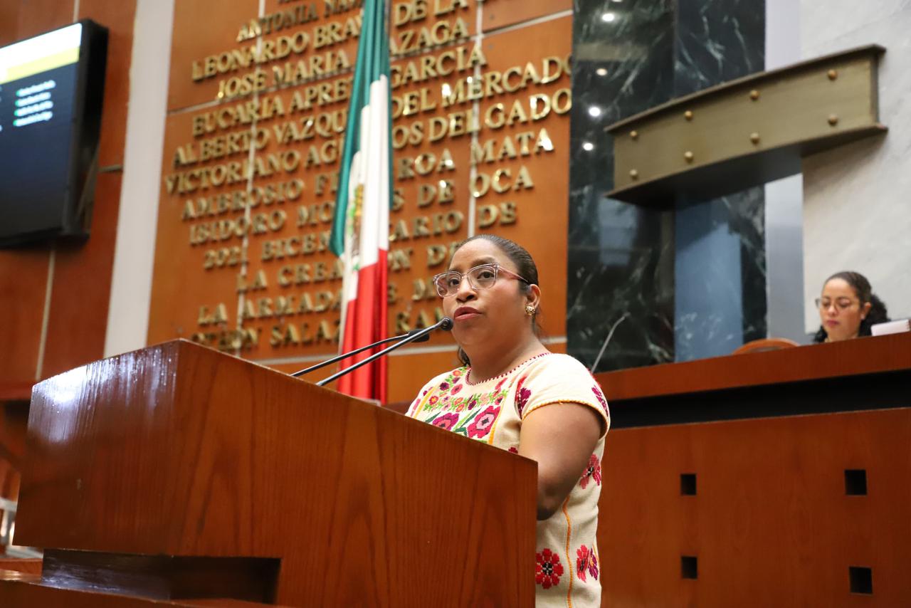 Diputada Catalina Propone fortalecer Derechos Político-Electorales de los Pueblos Indígenas y Afromexicano